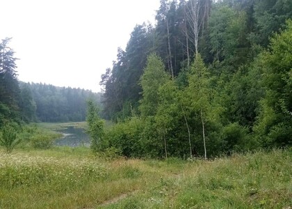 Не прекращаются акты вандализма