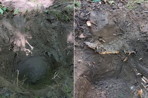 Геология и почвы